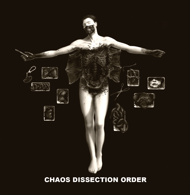 Chaos, Dissection, Order